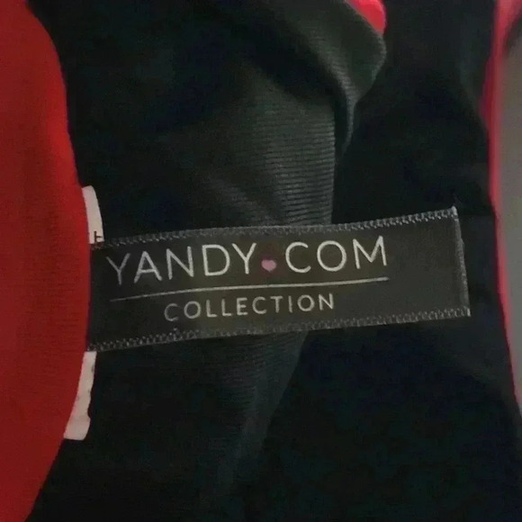 Lipstick Red Triangle Cut Bikini Top - L - Picture 6 of 6